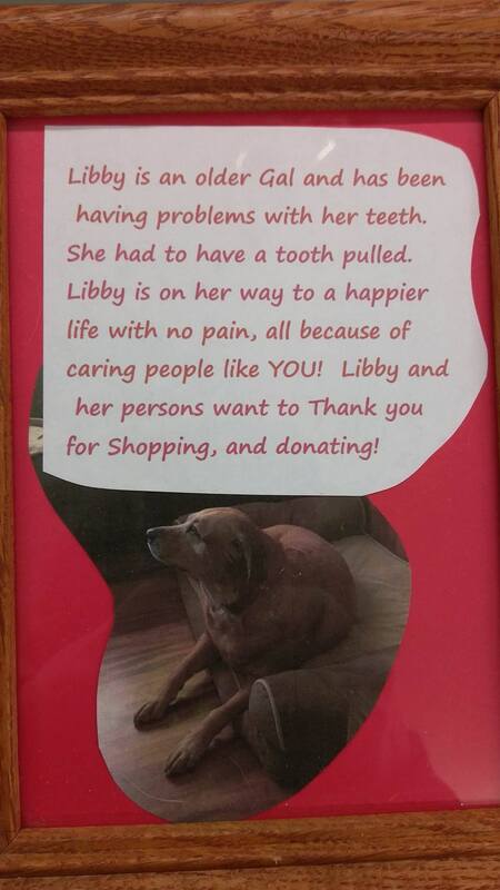 Libby the dog