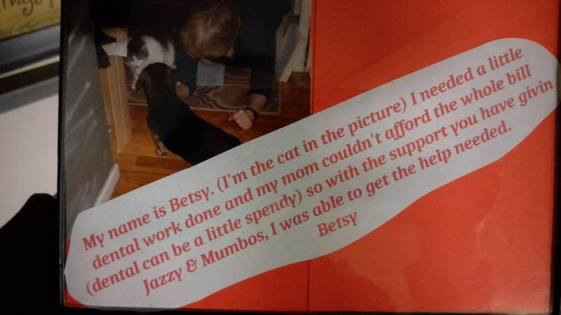 Betsy the cat